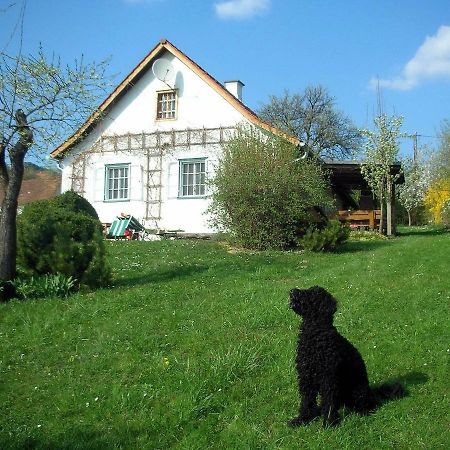 Beim Schachnerhaus Villa Pöllauberg Exterior foto